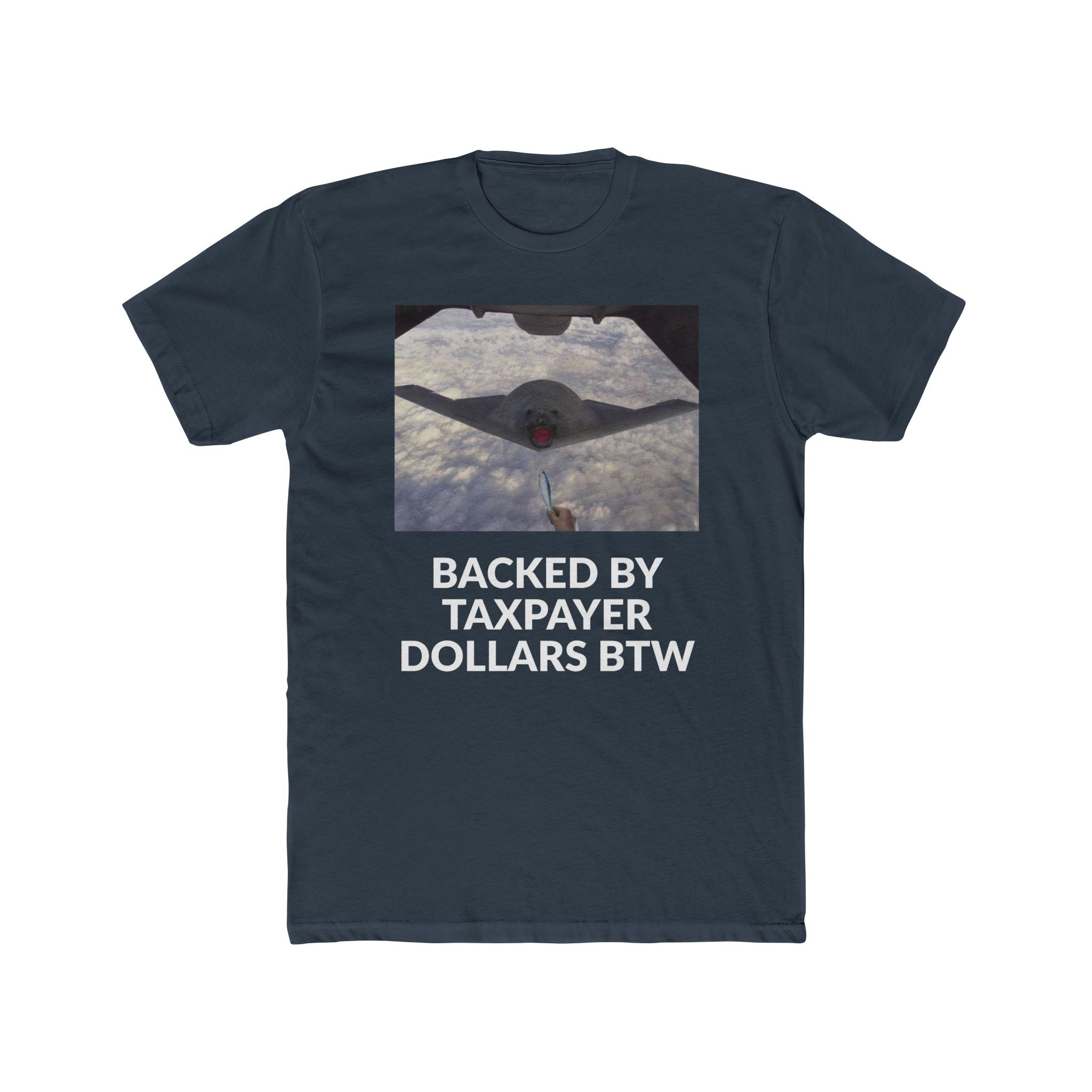 YOUR TAX $$$ BTW