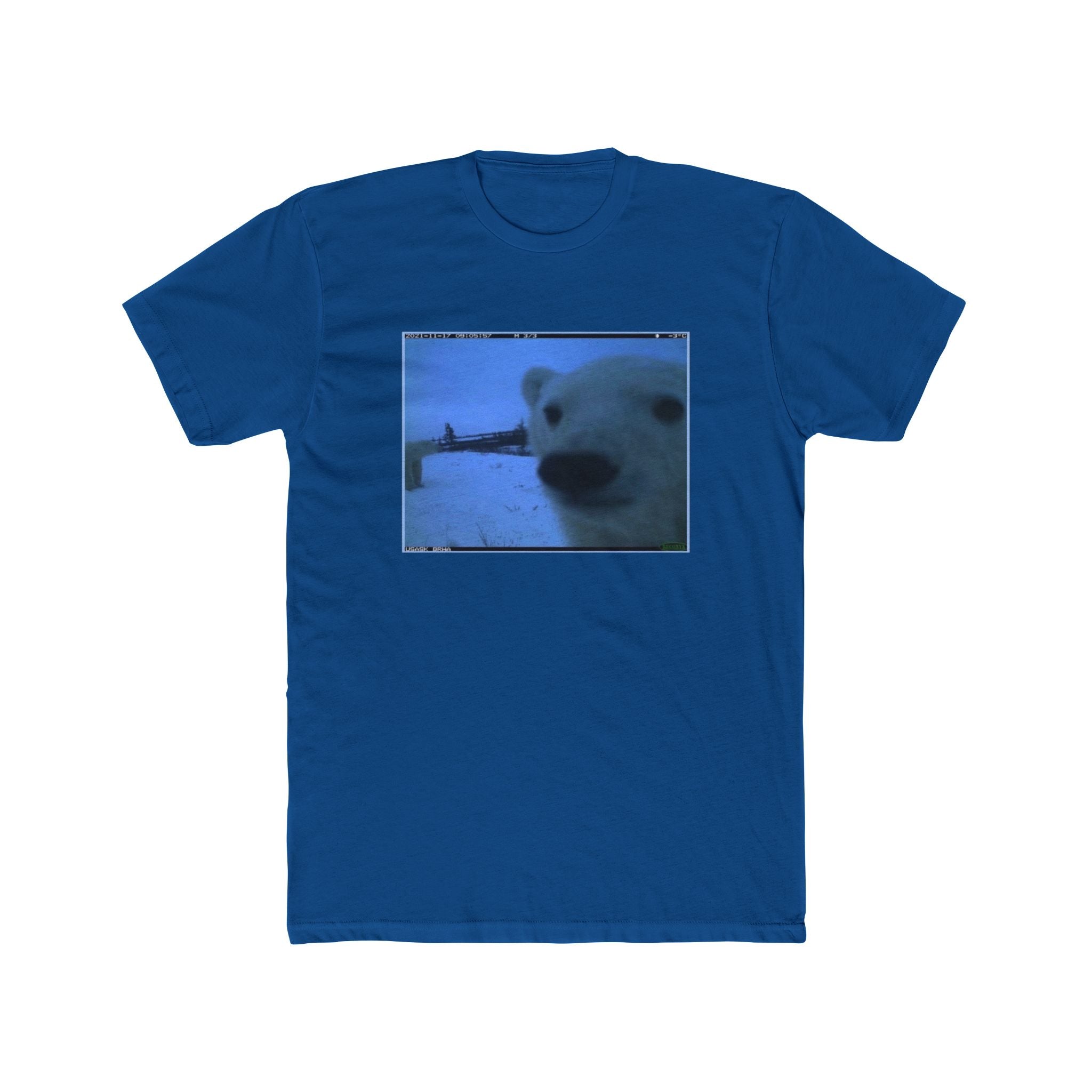POLAR BEAR!