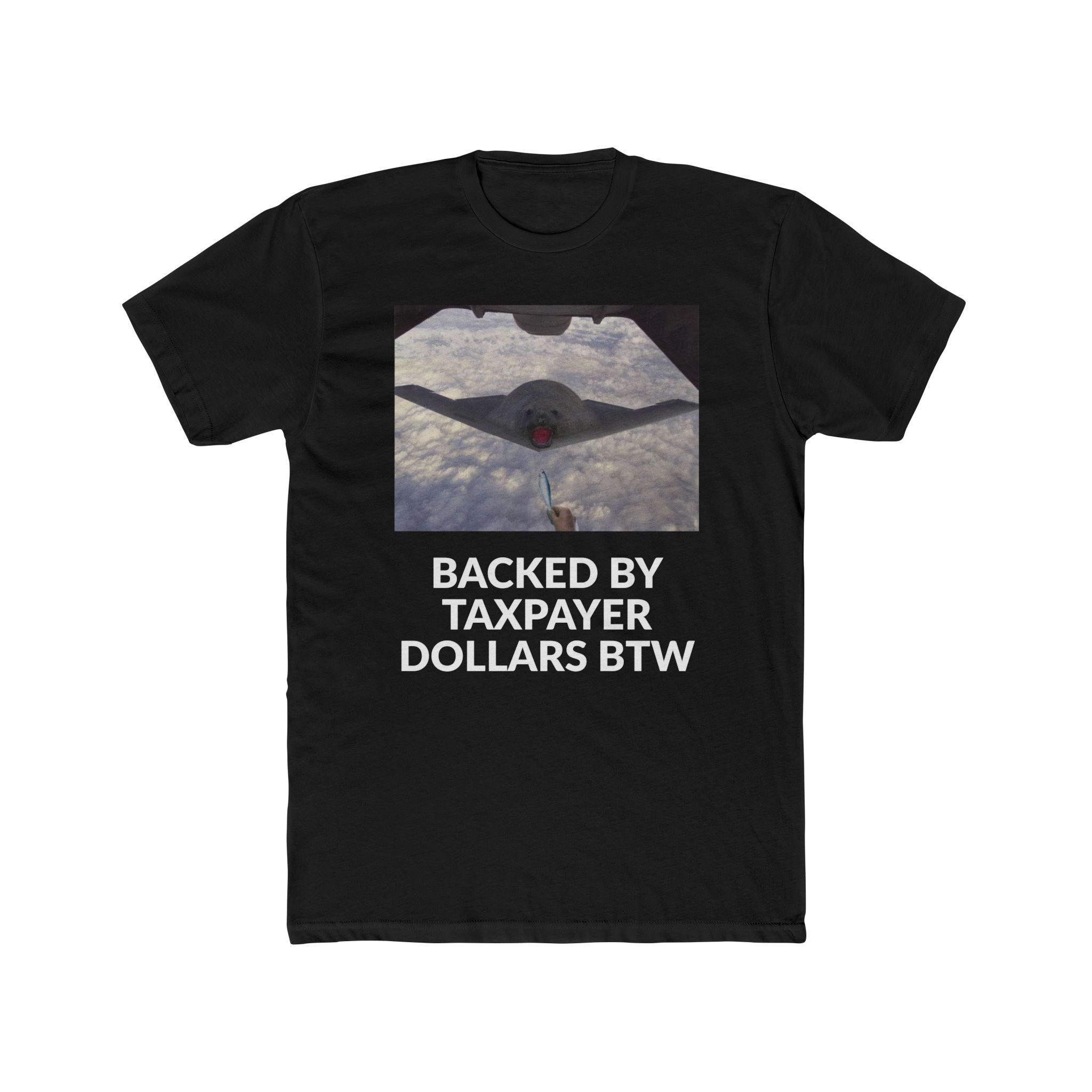 YOUR TAX $$$ BTW