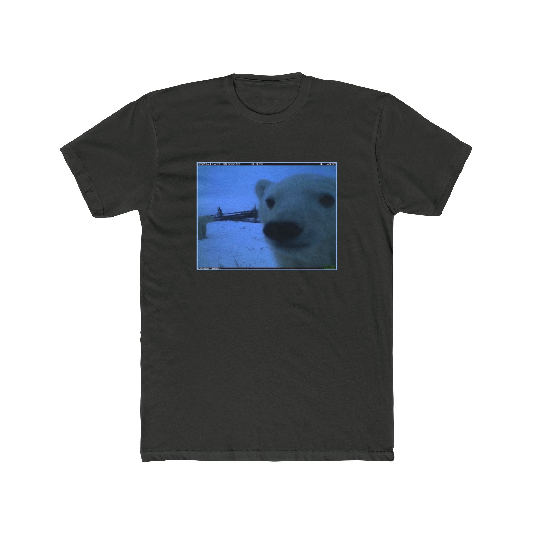 POLAR BEAR!