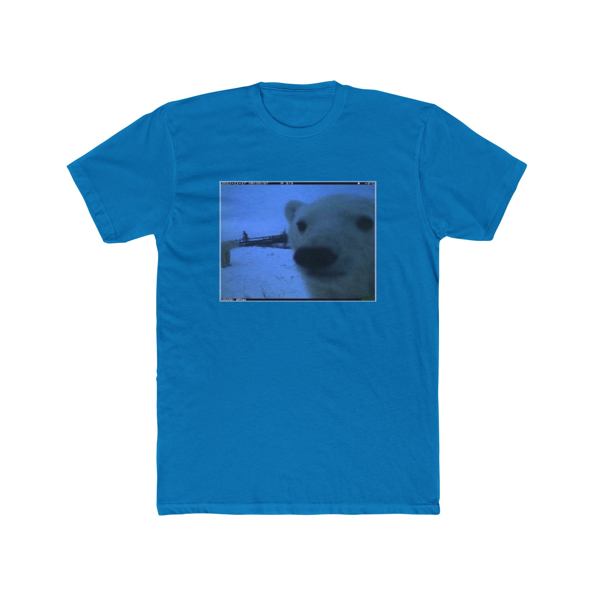 POLAR BEAR!