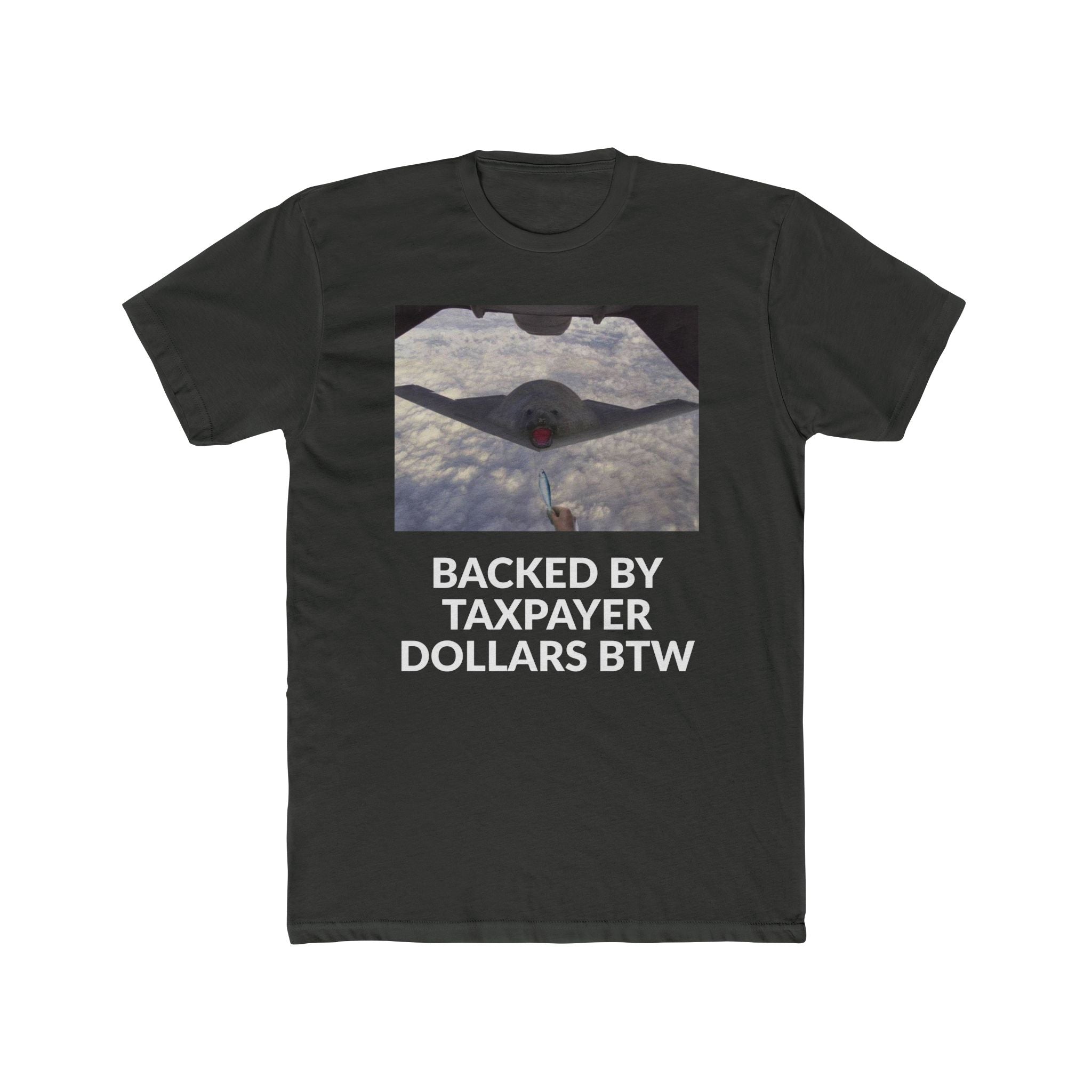 YOUR TAX $$$ BTW