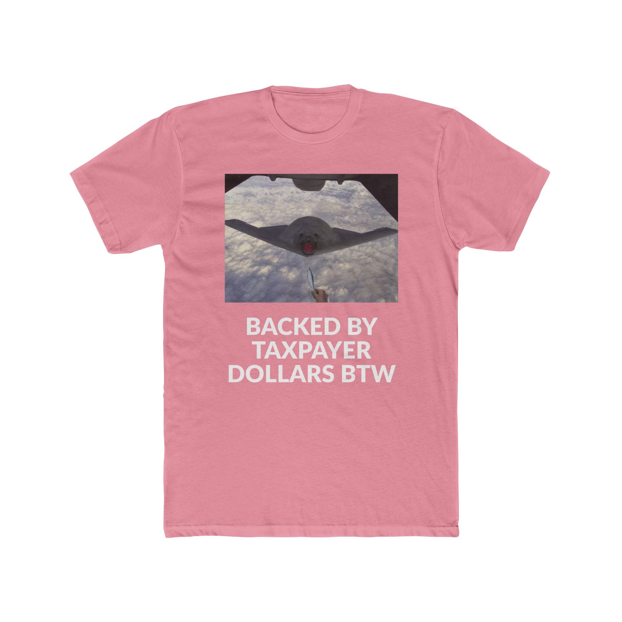 YOUR TAX $$$ BTW