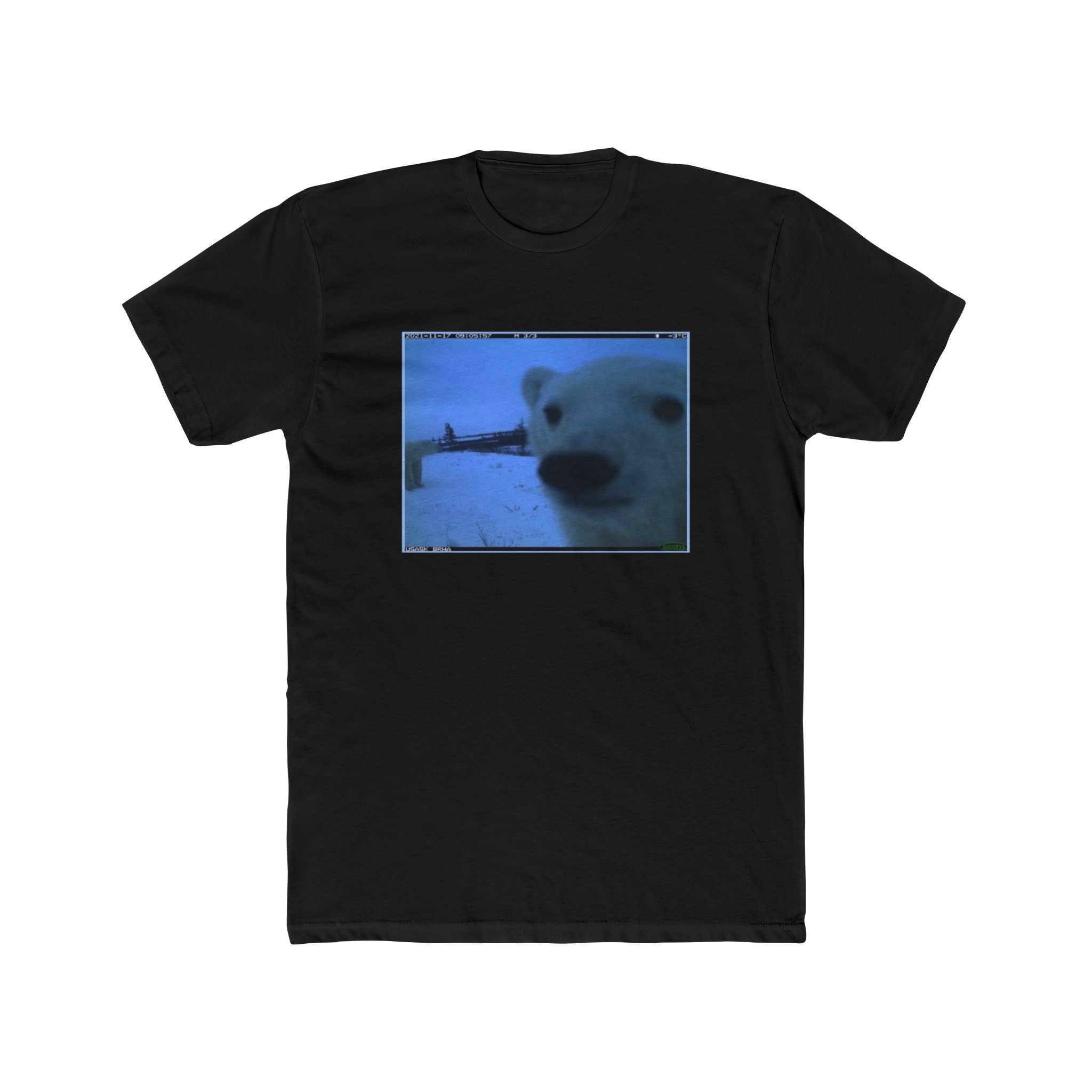 POLAR BEAR!